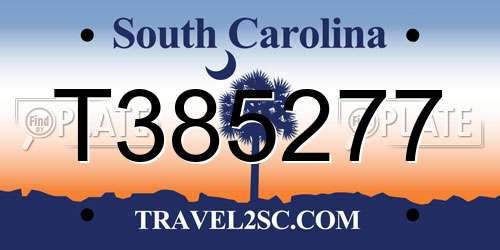 T385277 South Carolina License Plate
