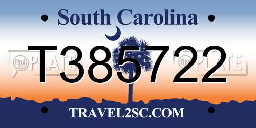T385722 South Carolina License Plate