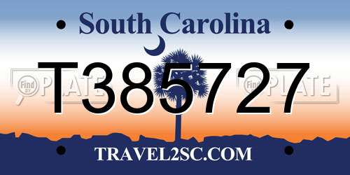 T385727 South Carolina License Plate