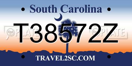 T38572Z South Carolina License Plate