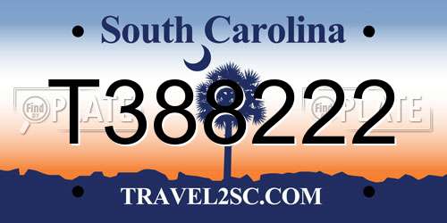 T388222 South Carolina License Plate