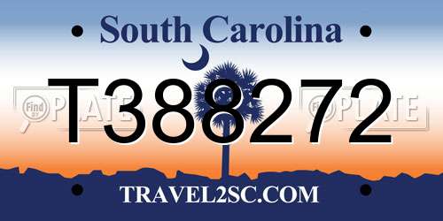 T388272 South Carolina License Plate