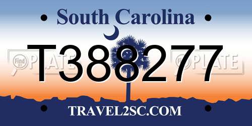 T388277 South Carolina License Plate