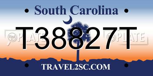 T38827T South Carolina License Plate