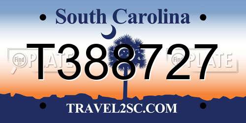 T388727 South Carolina License Plate