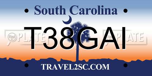 T38GAI South Carolina License Plate