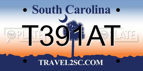 T391AT South Carolina License Plate