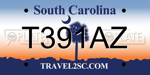 T391AZ South Carolina License Plate