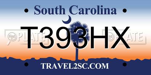 T393HX South Carolina License Plate