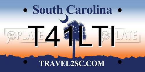 T41LTI South Carolina License Plate