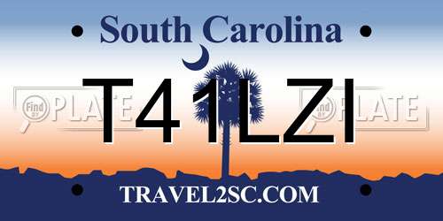 T41LZI South Carolina License Plate