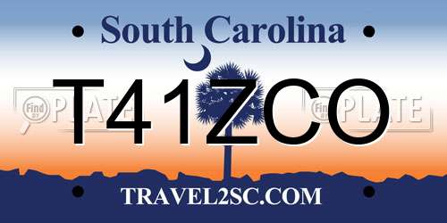 T41ZCO South Carolina License Plate
