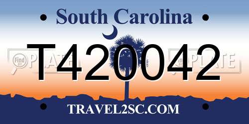 T420042 South Carolina License Plate