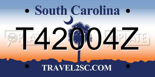 T42004Z South Carolina License Plate