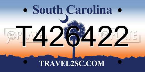 T426422 South Carolina License Plate