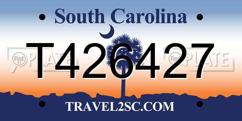 T426427 South Carolina License Plate