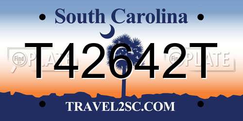T42642T South Carolina License Plate