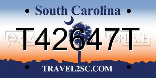 T42647T South Carolina License Plate