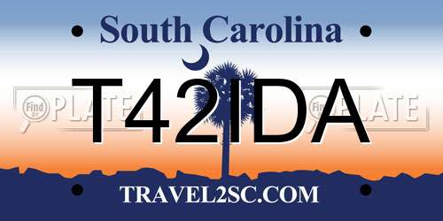 T42IDA South Carolina License Plate
