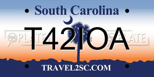 T42IOA South Carolina License Plate