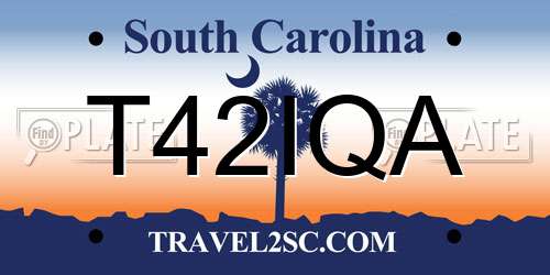 T42IQA South Carolina License Plate