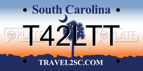 T42LTT South Carolina License Plate