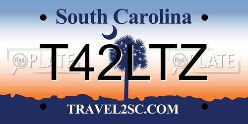 T42LTZ South Carolina License Plate