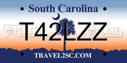 T42LZZ South Carolina License Plate
