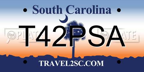 T42PSA South Carolina License Plate