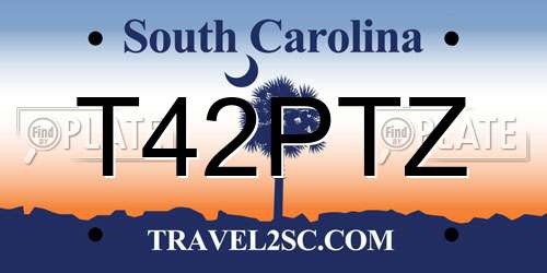 T42PTZ South Carolina License Plate
