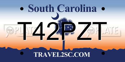 T42PZT South Carolina License Plate