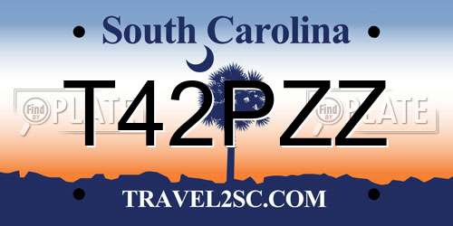 T42PZZ South Carolina License Plate