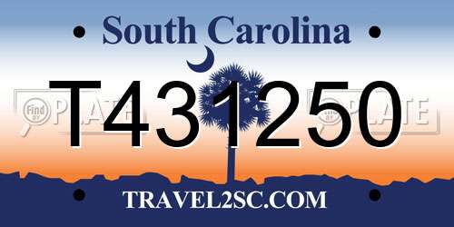 T431250 South Carolina License Plate
