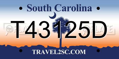 T43125D South Carolina License Plate