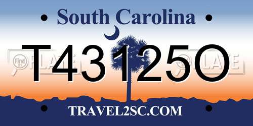 T43125O South Carolina License Plate