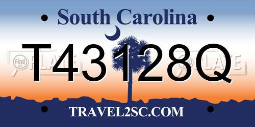 T43128Q South Carolina License Plate