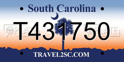 T431750 South Carolina License Plate
