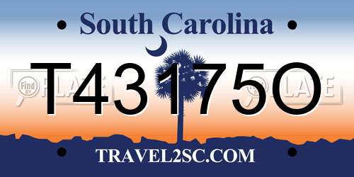 T43175O South Carolina License Plate