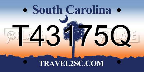 T43175Q South Carolina License Plate