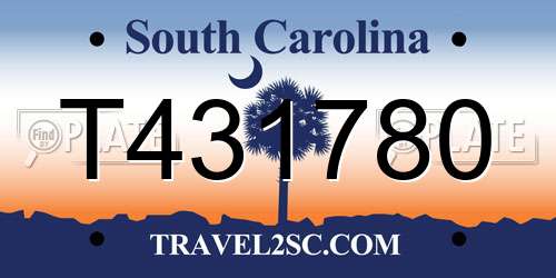 T431780 South Carolina License Plate