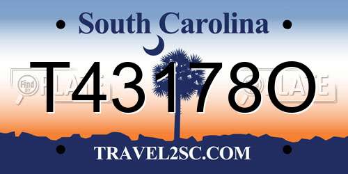 T43178O South Carolina License Plate