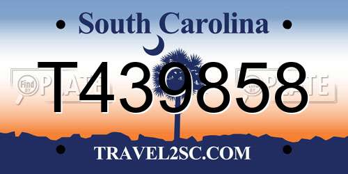 T439858 South Carolina License Plate