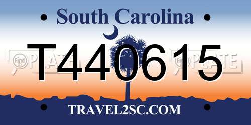 T440615 South Carolina License Plate