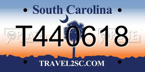 T440618 South Carolina License Plate