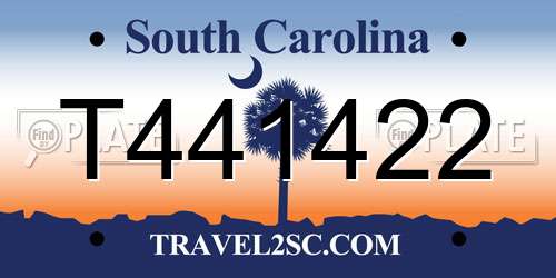 T441422 South Carolina License Plate