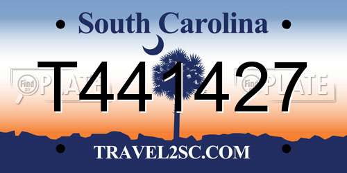 T441427 South Carolina License Plate