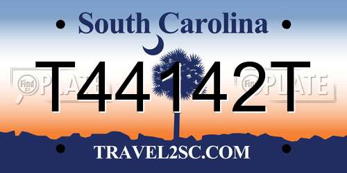 T44142T South Carolina License Plate
