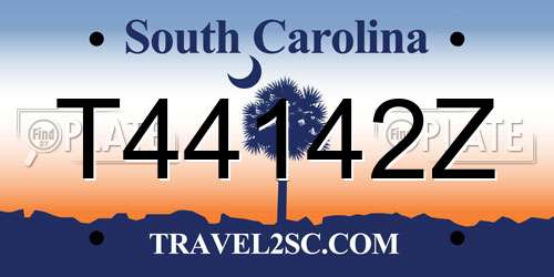 T44142Z South Carolina License Plate
