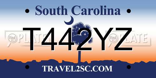 T442YZ South Carolina License Plate