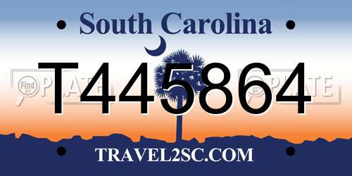 T445864 South Carolina License Plate